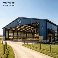 Structure en acier à travées libres durable pour arène équestre, Picadero Cubierto Metalico, Nave Agricola, Caballos, préfabriquée