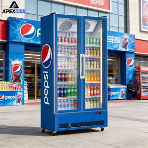 Réfrigérateur de <span class=keywords><strong>bar</strong></span> pour supermarché chinois, double porte, pour boissons - Product Image 1