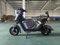 Scooter/Moto Électrique Paige OEM/ODM, Batterie Lithium 1000W, Vélo Électrique 14 Pouces, Prix Bas, Longue Autonomie
