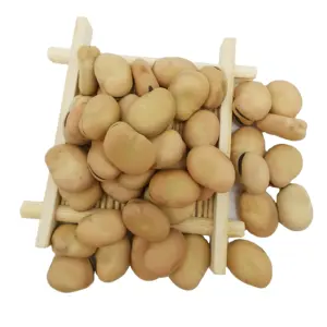 New crop Gansu dried Fava Beans /Broad Beans peeled broad beans