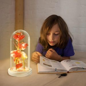 Vente chaude <span class=keywords><strong>rose</strong></span> led dans un dôme en verre <span class=keywords><strong>rose</strong></span> <span class=keywords><strong>rouge</strong></span> Beauty and The Beast <span class=keywords><strong>Rose</strong></span> Flowers pour cadeau de mariage - Product Image 6