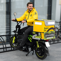 Vélo de livraison électrique B50 16 pouces avec cadre en acier, 1000W, 60V, longue autonomie, freins à disque hydrauliques, double suspension, 50AH en russe