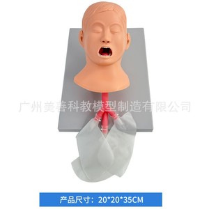 Modelo de intubación endotraqueal pediátrica; Modelo de cuidado materno-infantil; Modelo de entrenamiento de habilidades materno-infantiles 15/3 - Product Image 2