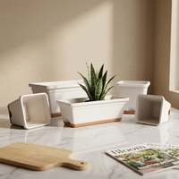 Jardinière rectangulaire auto-arrosante en plastique pour plantes avec plateau en plastique, adaptée aux fleurs, utilisation intérieure et extérieure