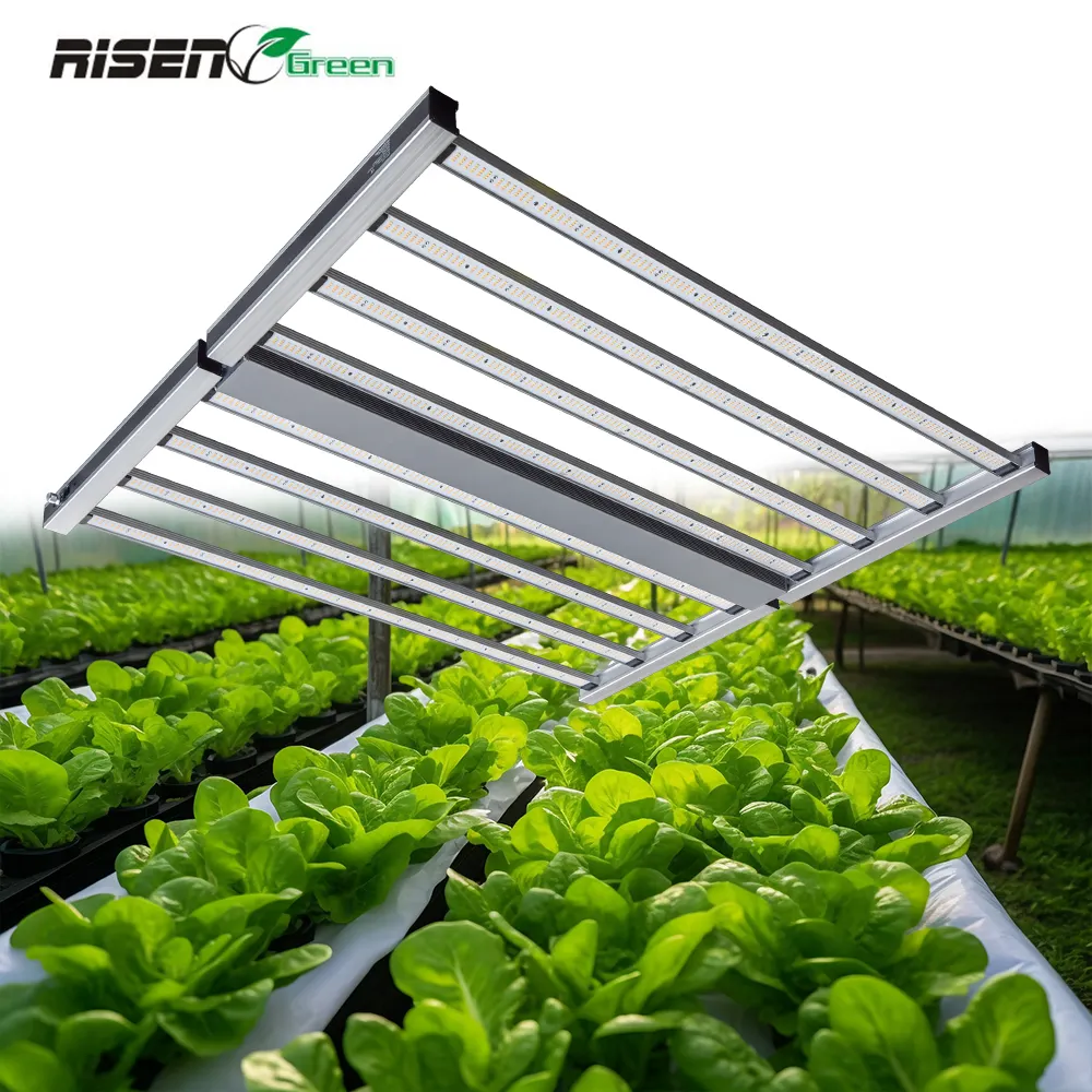 RISEN Lm301 660W Luces de cultivo LED de alta eficiencia Lámpara de cultivo interior