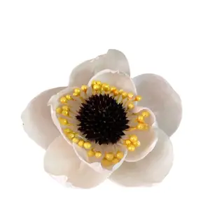 Fleur de Sora Aromathérapie Fleur Séchée 4.5cm sans feu Accessoires d'aromathérapie Absorption d'huile rose fleur séchée
