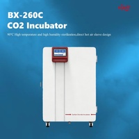 Incubadora de CO2 de Laboratorio de Gran Capacidad, Fácil de Usar, con Pantalla Táctil de Alta Definición, Datos Precisos y Estables
