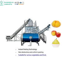 Industriële automatische fruit- en groentestoomschiller 1-10 T/H Hoge efficiëntie stoomschilmachine voor wortelgroenten SUS304