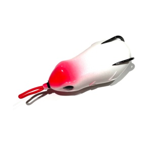 Rana Asesina de Cabeza de Serpiente - Product Image 4