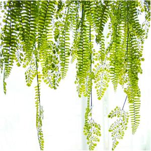 <span class=keywords><strong>Piante</strong></span> Artificiali Piccole, <span class=keywords><strong>Piante</strong></span> Secche Emozionanti, Fornitori all'Ingrosso, <span class=keywords><strong>Piante</strong></span> Artificiali Carine, <span class=keywords><strong>Piante</strong></span> Grasse, Regalo, Decorazione Murale in Rattan - Product Image 4