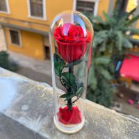 Rose éternelle préservée sous cloche en verre, ornements durables 3-5 ans, cadeau pour la Saint-Valentin, Tanabata, anniversaire