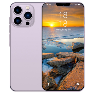 Haute Qualité Direct Usine <span class=keywords><strong>14</strong></span> <span class=keywords><strong>Pro</strong></span> <span class=keywords><strong>Max</strong></span> 5G Octa Core Double SIM 4K 120Hz 108MP LTE CDMA Grand Écran Anglais Français - Product Image 3