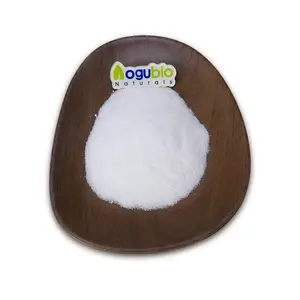 Bubuk SOLAGUM polimer penebal alami SOLAGUM AX INCI Acacia Senegal Gum & Xanthan Gum SOLAGUM AX Powder