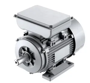 Los motores asíncronos monofásicos de dos valores de la serie YL/YCL de 220V 50HZ funcionan con condensador