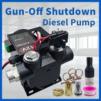 Diesel-Getriebepumpe 60L/min 12V 24V DC-Motor für Kraftstofftank 2m Kabel OEM 1 Jahr Garantie