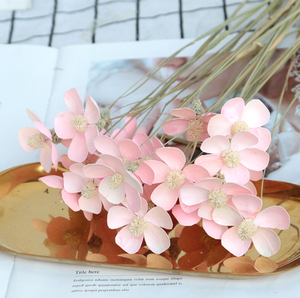 Ogni amore all'ingrosso 12 steli Per mazzo Matthiola Incana bellissimo Bouquet di <span class=keywords><strong>violette</strong></span> essiccate - Product Image 4