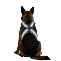 Nouveauté 12 lumières LED rayées, gilet réfléchissant pour chien, harnais pour animaux de compagnie en polyester