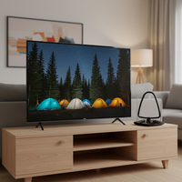 Fabrik-Großhandel ANTOP HD 4K Innen-Digital-TV-Antenne mit Hoher Verstärkung 28dB Kunststoff Anpassbarer Anschluss ODM/OEM/OBM