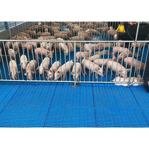 อุปกรณ์เสริมหลายตัวเลือกทำความสะอาดง่ายสำหรับลูกหมูลังสำหรับเรือนเพาะชำ - Product Image 6