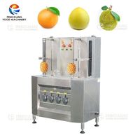 Automatische watermeloen, papaja, mango, taro schilmachine, fruit- en groenteschilmachine