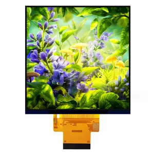 Square 4" 480x480 Free Viewing Angle 4 Inch IPS Tft Lcd 480x480 SPI RGB LCD Screen