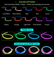 Bande lumineuse néon RGB Pixel avec télécommande, matériau silicone, garantie 5 ans, CRI 95, décoration intérieure/extérieure, lumière LED flexible