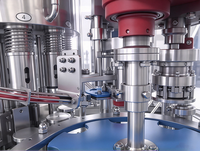 Machine de remplissage et de bouchage automatique de bouteilles en verre sous pression isobare 800-1500 BPH avec écran tactile PLC pour bière, soda et eau gazeuse