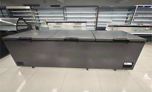 Congelador Horizontal Comercial de 2 Puertas con Apertura Superior, Gran Capacidad para Supermercados y Almacenamiento de Alimentos Congelados en el Hogar - Product Image 5