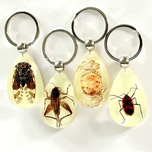 Porte-clés en résine de haute qualité, scintillant dans l'obscurité, porte-clé, cisaille, crabe, insecte rouge, pièces - Product Image 1