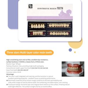 Dents en Résine Acrylique Multicouches OEM d'Usine, Dents Composites en Résine Synthétique <span class=keywords><strong>pour</strong></span> <span class=keywords><strong>Prothèse</strong></span> <span class=keywords><strong>Dentaire</strong></span> - Product Image 5