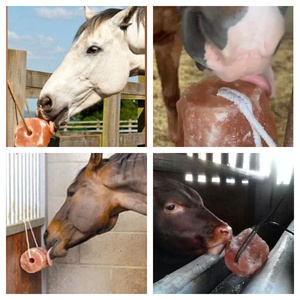 Viele Mineralien und erstaunlicher Geschmack Himalaya-Minerals alz lecken Block für Rinder, Pferde, Schafe, Kaninchen und Ziegen - Product Image 4