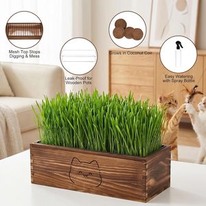 Cross-border wooden cat grass potted planter with mesh cover, coconut coir-grown cat grass <b>pot</b>, pet green <b>plant</b> ornament. - Product Image 1