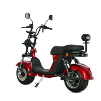 Double siège pour le marché brésilien Produit populaire 2000W 60V20AH Fat Tire Long Range Scooters électriques 10 pouces 2 roues Citycoco Adulte
