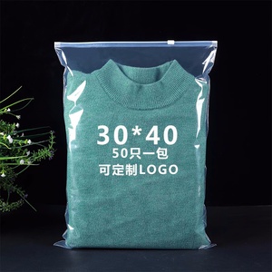 Fabricación personalizada camiseta ropa interior calcetines embalaje barato CPP EVA CPE esmerilado Zip Lock bolsa con logotipo - Product Image 4
