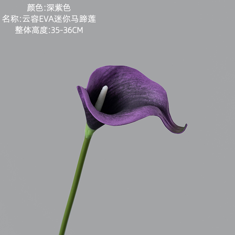 Deep purple