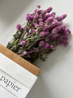 Fleur de Gomphrena Globosa Préservée de Qualité Supérieure, Naturelle et Longue Durée, pour Remplissage de Boîtes Cadeaux – Vente en Gros Direct Usine