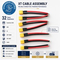 Kabel Harness Konektor XT30 XT60 XT90 Custom, Kabel Harness JST SH 1.0, Kabel Harness Molex KK 396 XH ZH SH Pre Crimped