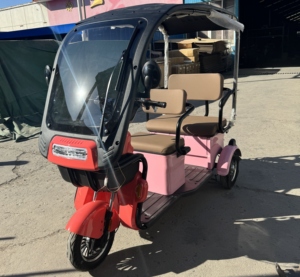 New Model Adult Electric Tricycles 3 Three Wheels Electric <strong>Motorcycle</strong> Bicycles for Passenger <strong>with</strong> <strong>Roof</strong> - Product Image 5