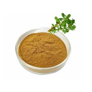 ผงสกัดบาโคปาคุณภาพสูง 20% บาโคไซด์ สารสกัดจากใบบาโคปา โมนิเอรี ผงสมุนไพรจากพืช วัตถุดิบ จำหน่ายจำนวนมาก - Product Image 2