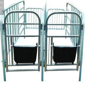 Caja <span class=keywords><strong>de</strong></span> gestación galvanizada duradera para equipo <span class=keywords><strong>de</strong></span> granja, barra <span class=keywords><strong>de</strong></span> posicionamiento <span class=keywords><strong>de</strong></span> Sow - Product Image 3