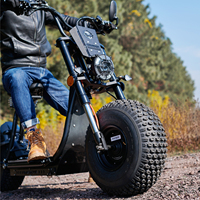 EEC COC sıcak satış elektrikli Scooter Citycoco 2000w 3000w Citycoco Off Road E kıyıcı yetişkin için
