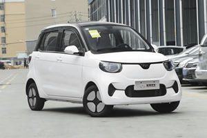 Auto Elettrica Pura Hongrui Xiaohu FEV Veicolo Elettrico Familiare RHD 2 Posti Mini Auto Little Tiger Henry Xiaohu EV in Vendita - Product Image 3