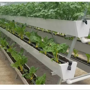 Nouvelle arrivée <span class=keywords><strong>prix</strong></span> <span class=keywords><strong>de</strong></span> gros gouttière fraise laitue tomate système d'irrigation goutte à goutte culture hydroponique - Product Image 2