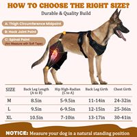 Attelle de genou pour chien en néoprène réglable et personnalisable pour le soutien des membres arrière (ACL/CCL) avec harnais post-chirurgical pour l'arthrite