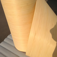 Niveau carbonisé personnalisé placage de bambou naturel décoration intérieure moderne meubles imperméables armoires divers bois d'ingénierie