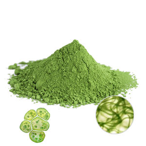 Supplément de jus végétalien Mélange de légumes Superfood Boisson énergétique verte Poudre Super Greens - Product Image 3