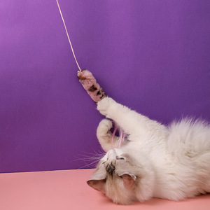 Juguete Interactivo Sostenible para Gatos, Varita con Plumas, Varilla de Madera, Mini Campana, Juguete de Ratón que Estimula el Comportamiento de Captura - Product Image 4