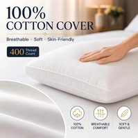 Bantal Bulu Angsa Abu-abu Sarung Katun Hipoalergenik Modern Set Bantal Tidur Koleksi Hotel 2 Ukuran Standar