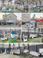 Machine d'extrusion automatique pour la fabrication d'aliments pour poissons (crevettes coulantes, croquettes flottantes pour poissons-chats) et d'aliments pour chats et chiens - Offre Spéciale