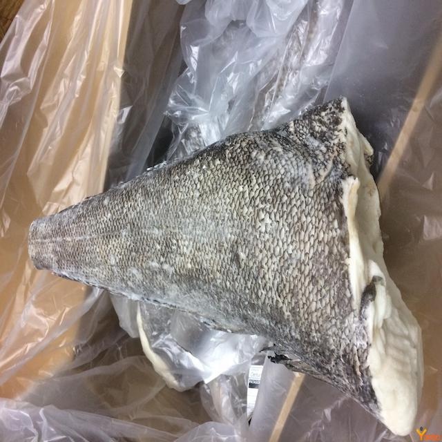 2021 Dijual Chili Kakap Putih, Beku Patagonia TOOTHFISH Harga Yang Murah dari REUNION Wilayah Semua Ukuran/REUNION ISLAND FISH